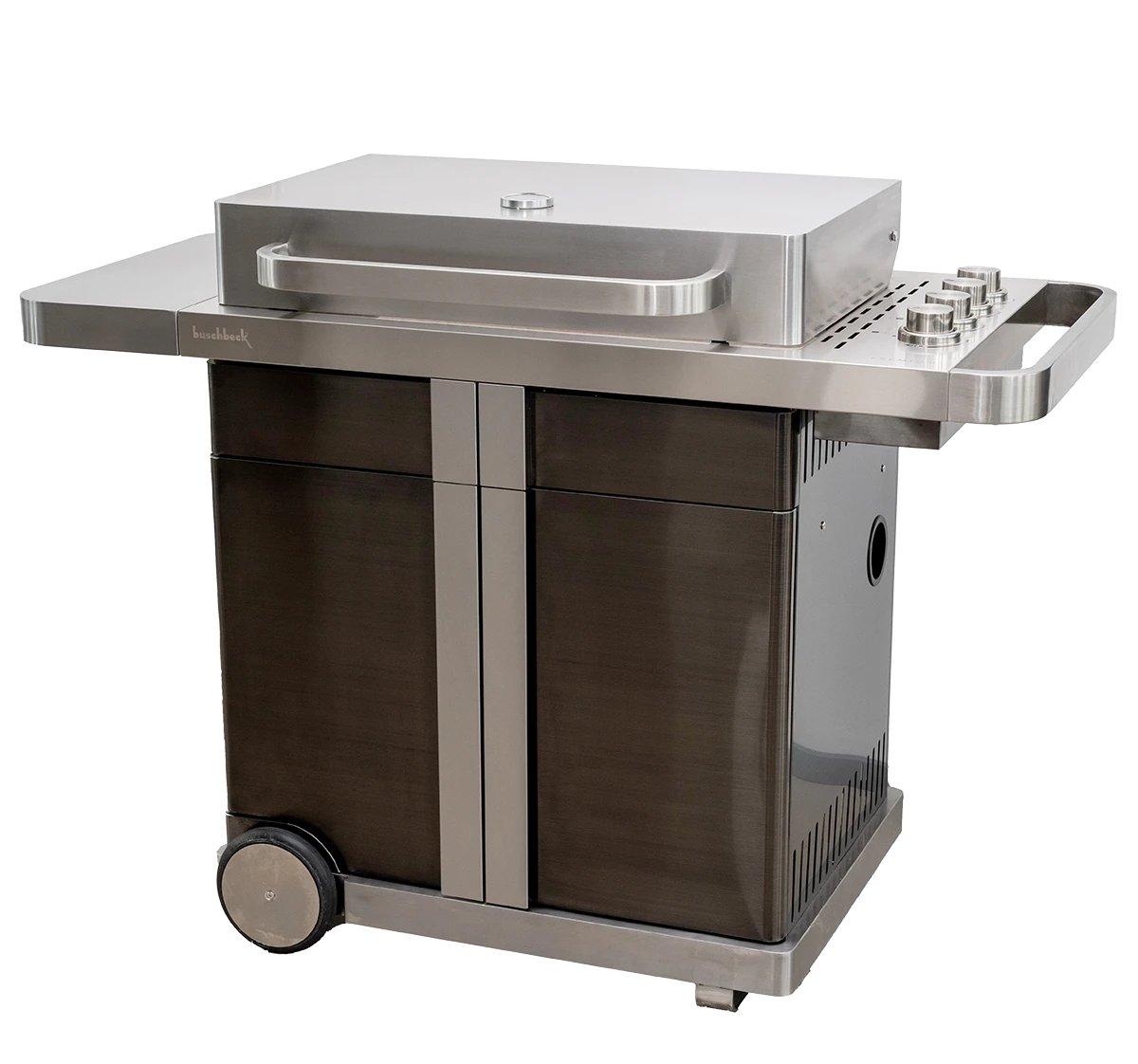 Gasgrill P1000 freigestellt