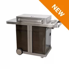Gasgrill P1000 freigestellt