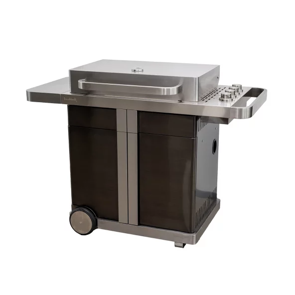 Gasgrill P1000 freigestellt