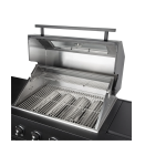 Grillfläche Dublin offen